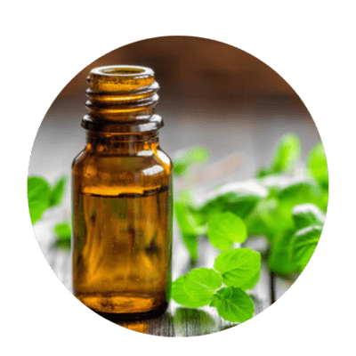 Dementholised Oil (Mentha Arvensis)