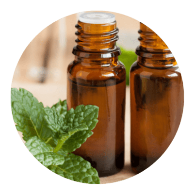 Spearmint Oil (Mentha Spicata)