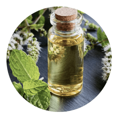 Peppermint Oil (Mentha Piperita Oil) (Organic mint oil)