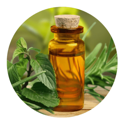 Field Mint / Shivalik Oil (Mentha Arvensis) (Organic Mentha Arvensis Oil)
